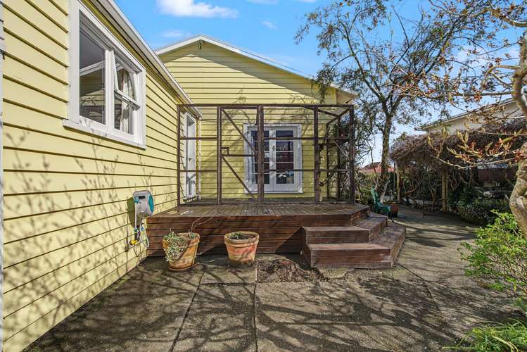 14 Venus Street Georgetown_20