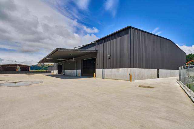 3A Kinleith Grove Kenepuru_1