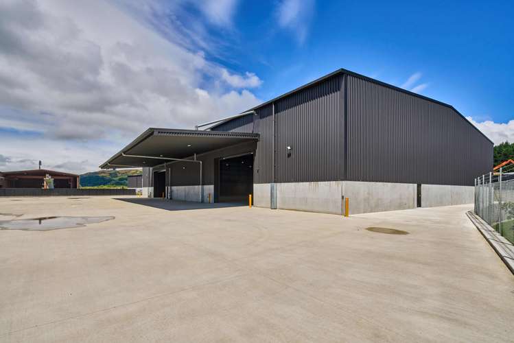 3A Kinleith Grove Kenepuru_1