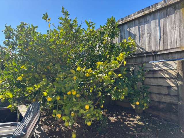 22 Kathleen Reece Place Waiuku_2