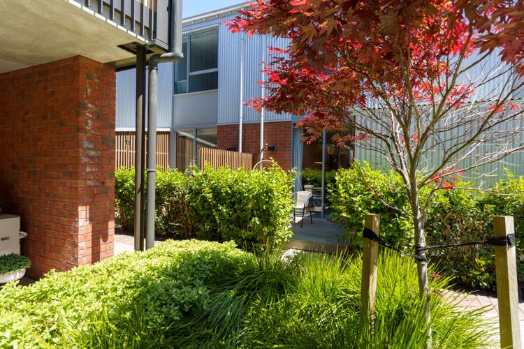 8/127 Lichfield Street Christchurch Central_16