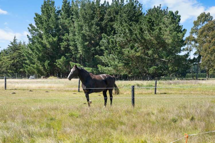 126 Adams Road West Melton_12