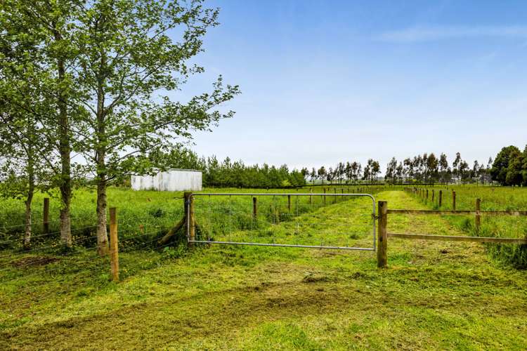 306 Upper Stuart Road Eltham_19