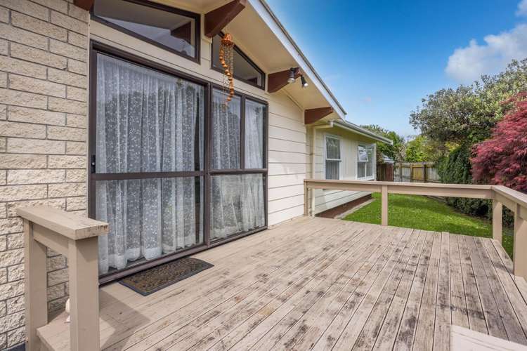 264 Clyde Street Hamilton East_21