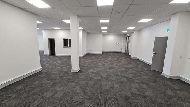 Level 1/132 Hutt Road Kaiwharawhara_1