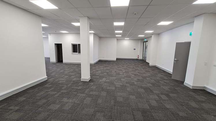 Level 1/132 Hutt Road Kaiwharawhara_1