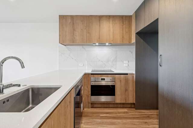203/3 Dishys Road Flat Bush_3