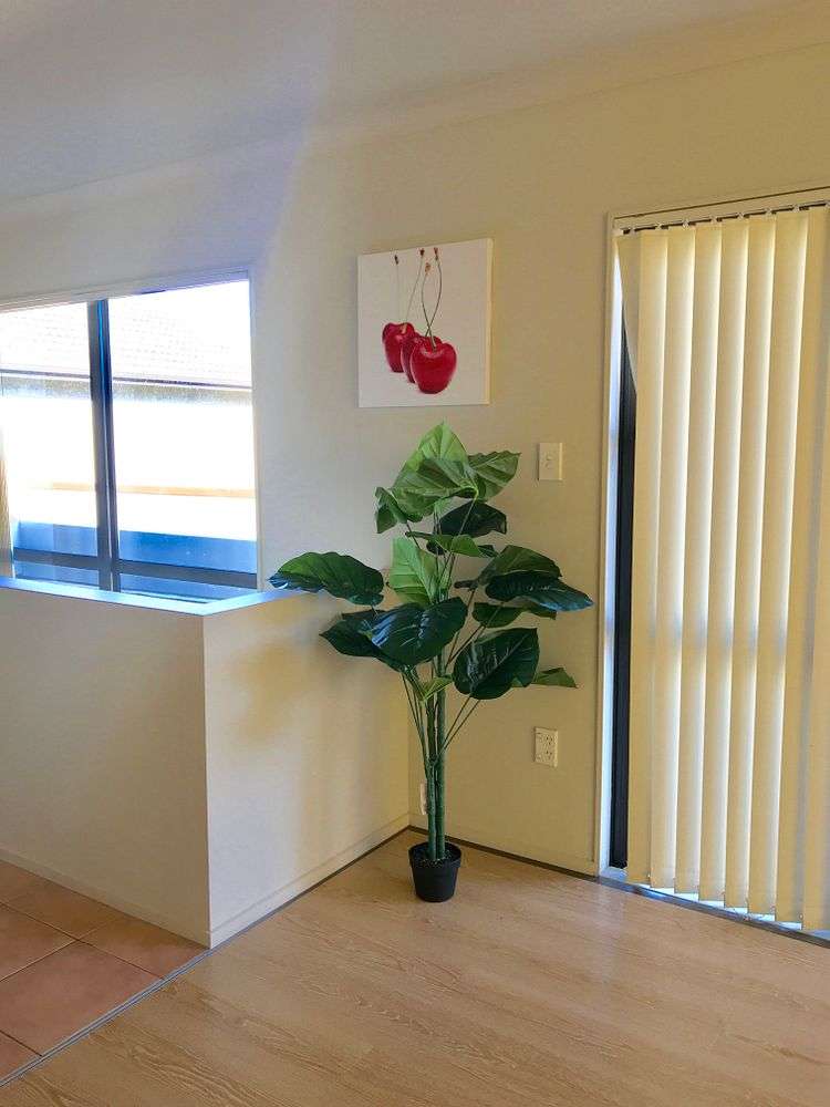 88l Selwyn Street Onehunga_7