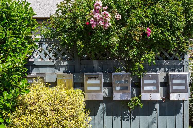 6/53 Manor Place Dunedin Central_15