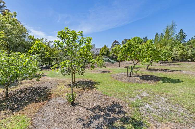 1103 Downs Road West Eyreton_49