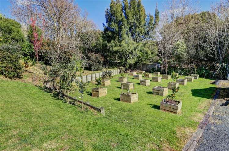 19b Rosehill Place Nawton_20