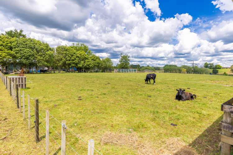 19 Karakariki Valley Road Whatawhata_25