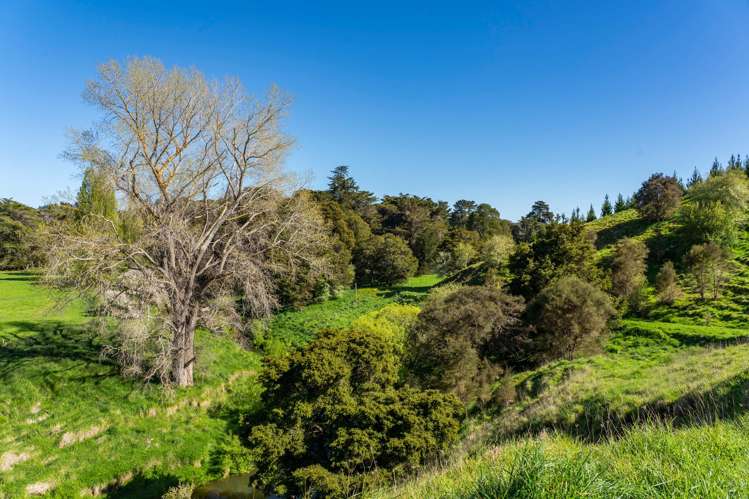 Porangahau Road Wallingford_5
