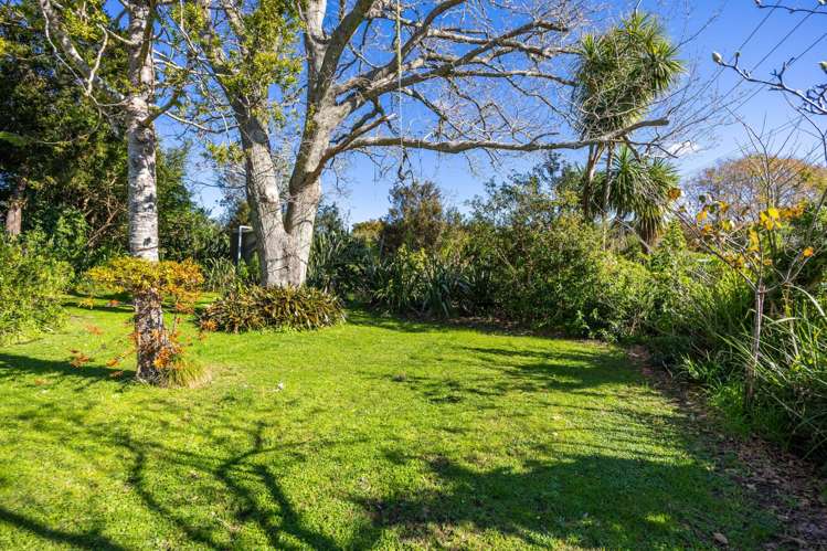295 Falls Road Warkworth_27