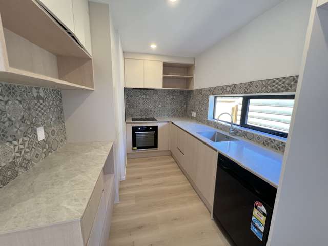 11d Williams Avenue Pakuranga_3