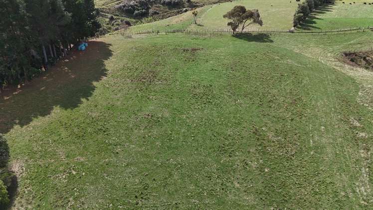 169 Campbell Road Brunswick_40