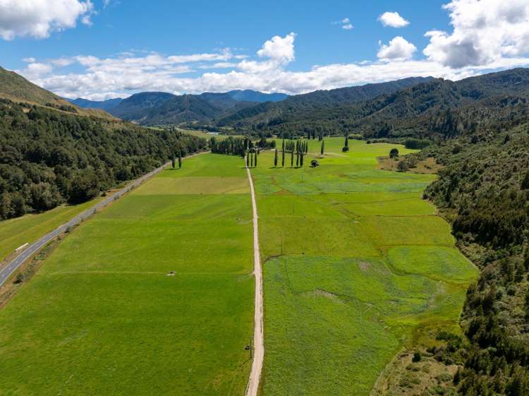 1153 Shenandoah Highway Murchison_25