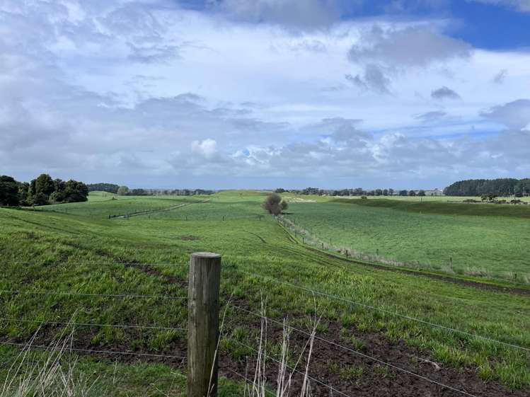 78 Brandon Hall Road Bulls_5