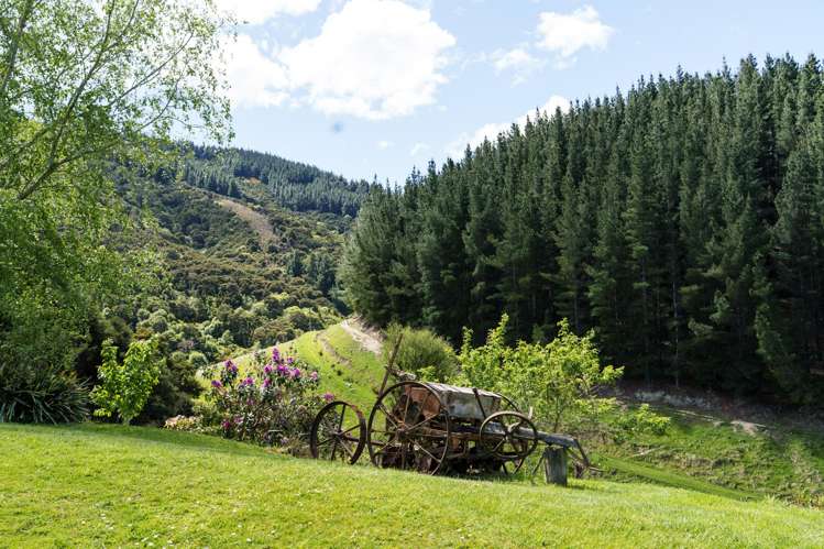 292 Waipori Falls Road Berwick_22