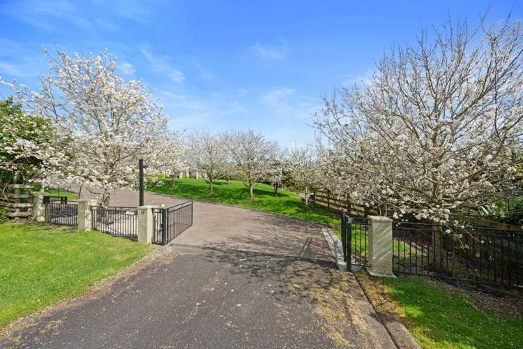 75 Whitford Park Road Whitford_35