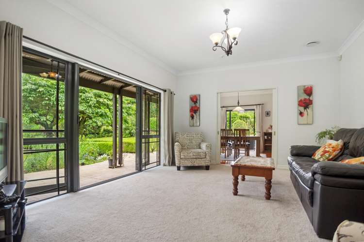 21 Thorn Road Kaimai_14