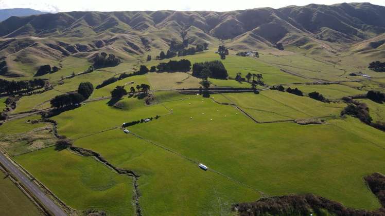 1 Hall Road Ngongotaha_8