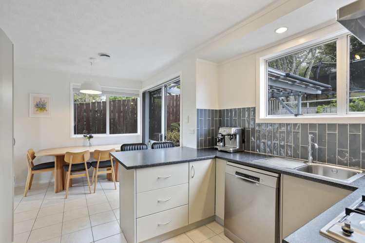 35 Terra Nova Street Glen Eden_8