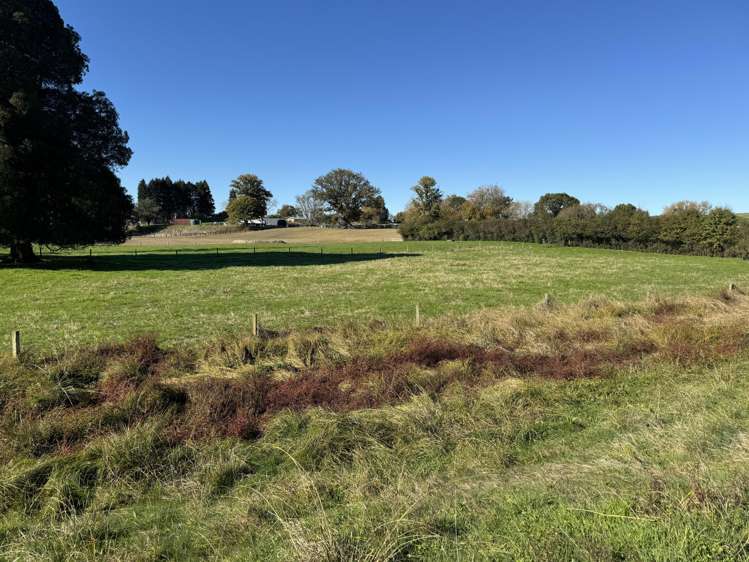 00 State Highway 31, Kawhia Road_5