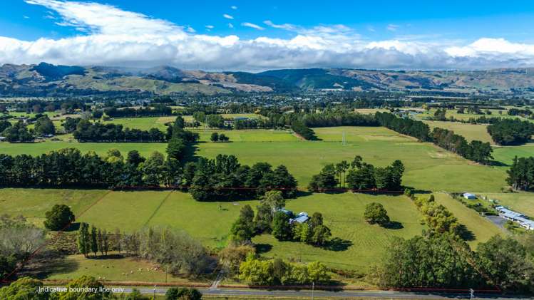 39 Old Kips Road Ashhurst_22