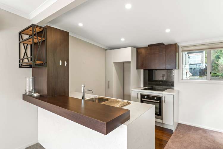 66f Maclaggan Street Dunedin Central_8