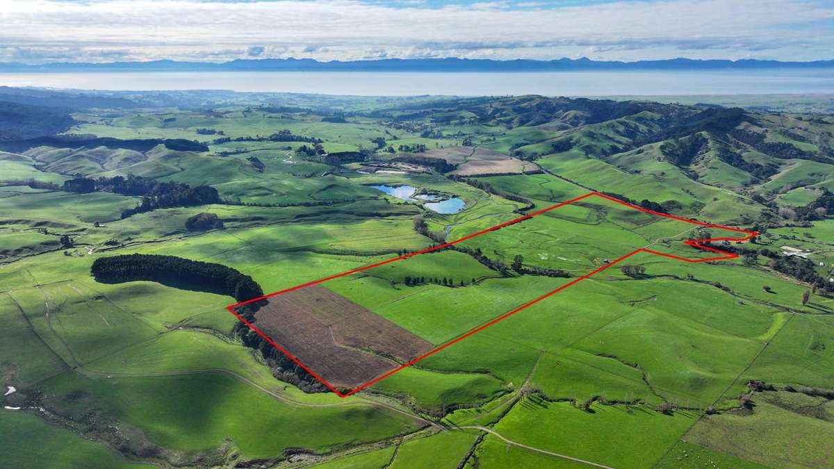 976 Kaiaua Road_0