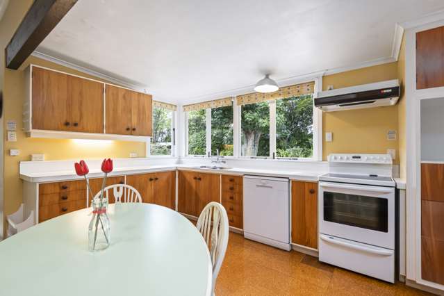 49 Joblins Road Levin_3