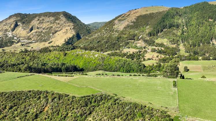 333 Packard Road Takaka_8