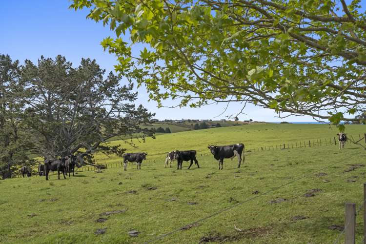 465 Otaha Road Kerikeri_12