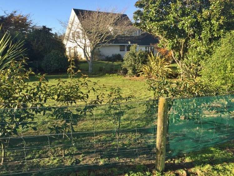 311 Opunake Road Cardiff_39