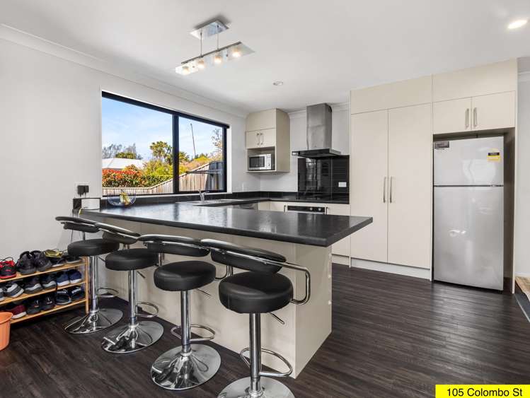 103 Colombo Street Somerfield_18