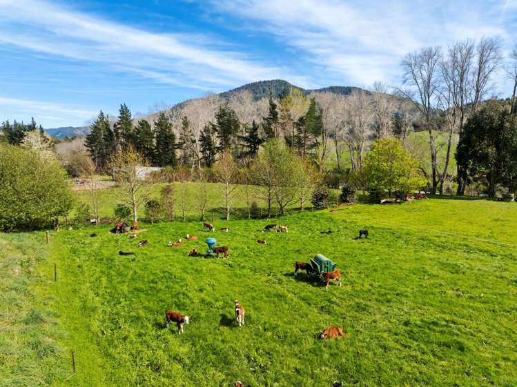 5788 State Highway 6 Pelorus Bridge_26