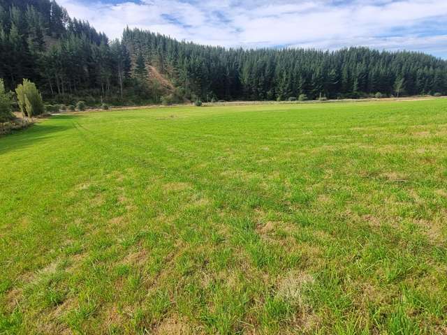 Falla Burn Road, Manuka Gorge Milton_3