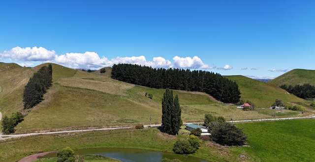 166 and 179 Mangapapa Road Taihape_1