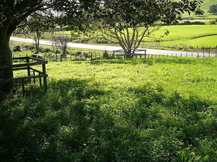 7447 State Highway 26 Paeroa_46