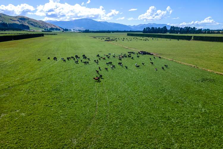 87 Hekeao Road Mesopotamia_20