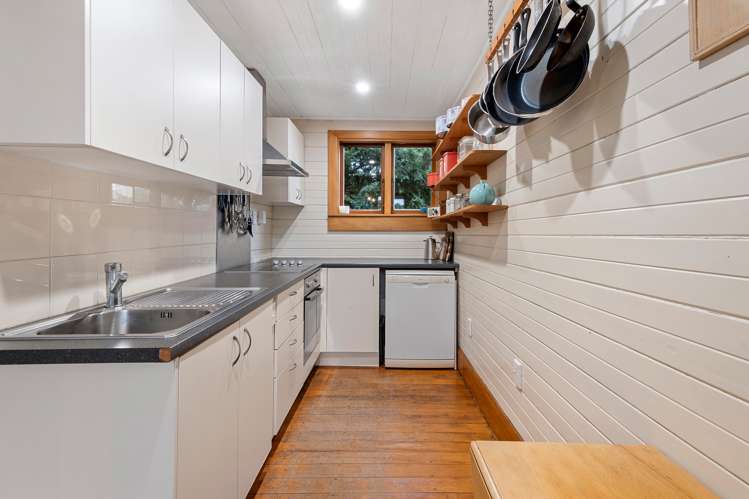 60 Longfellow Street Sydenham_10