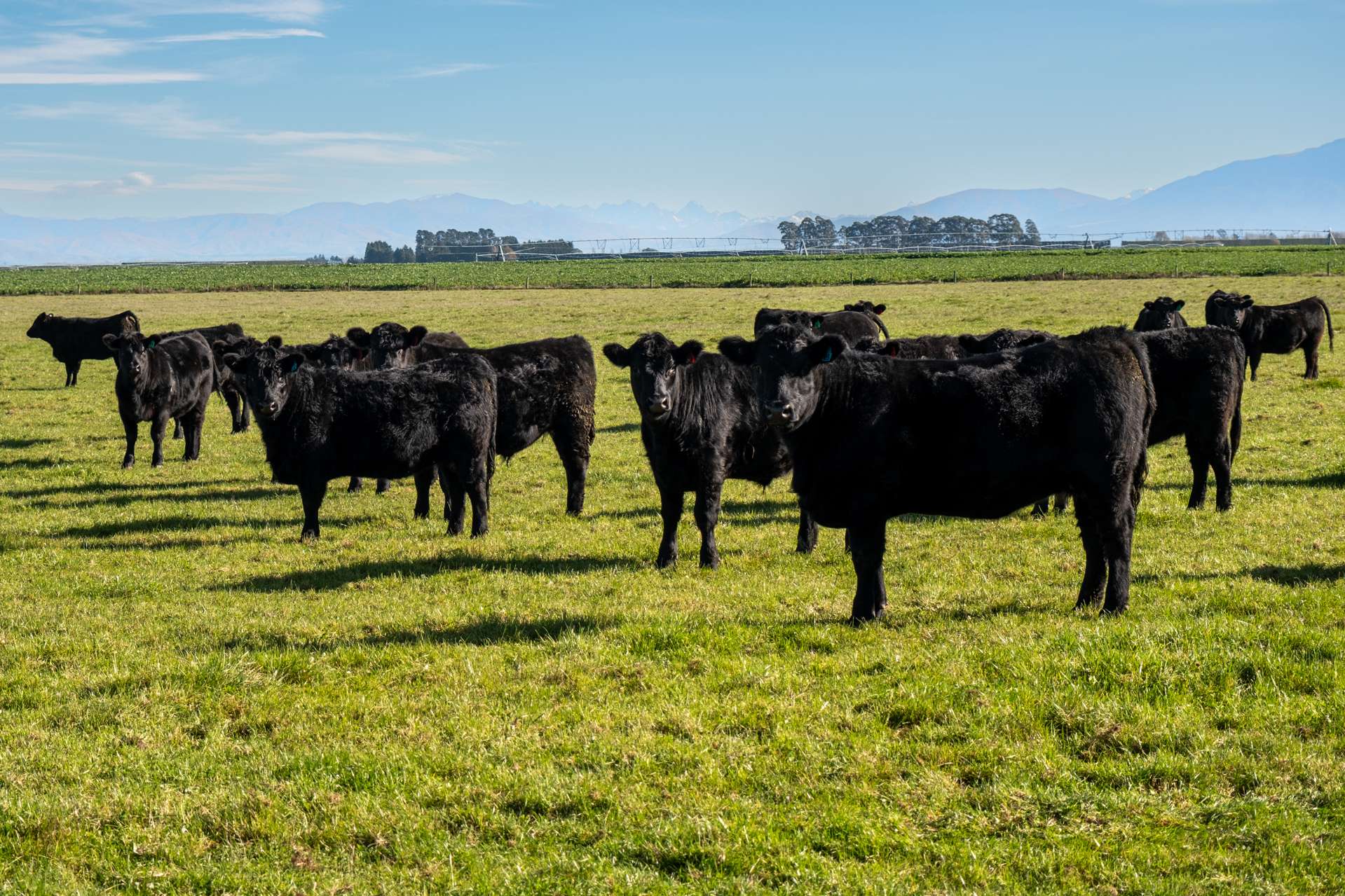 685 Winchmore Lauriston Road Lauriston_0