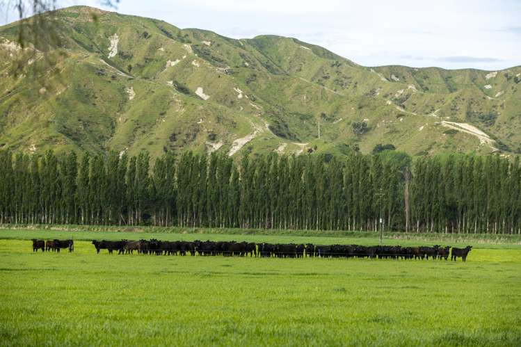 2225 State Highway 2 Whakaki_12