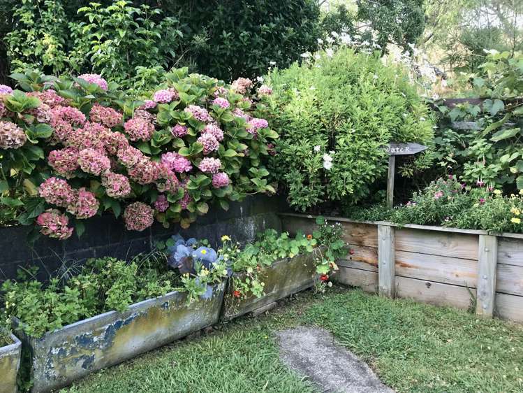 54 Tiraumea Road Pahiatua_14