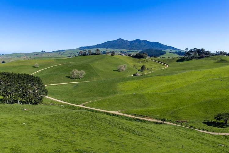 44 Te Papatapu Road Raglan_19