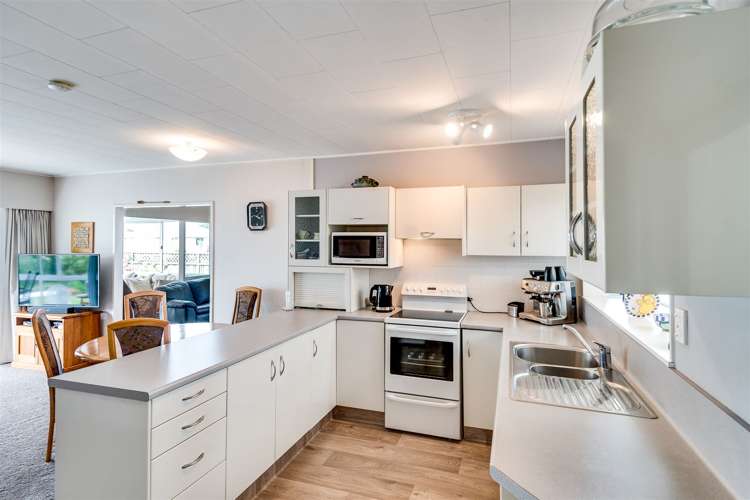 28 Galway Street Tamatea_5