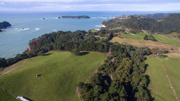 282 Lees Road Hahei_9