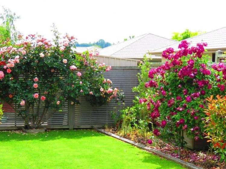 25 Belgrove Drive Waipukurau and Surrounds_12