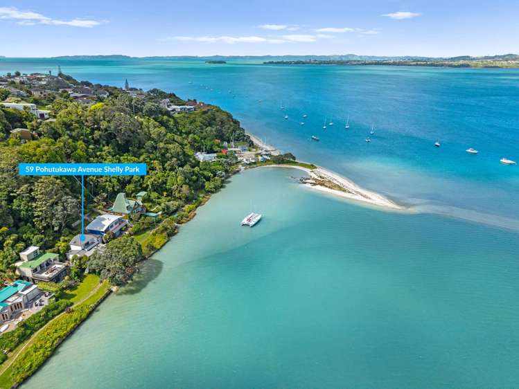 59 Pohutukawa Avenue Shelly Park_25